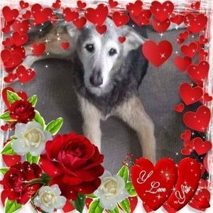 Meet your Posher, Patty